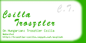 csilla trosztler business card